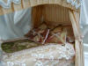 Wicker 4 post